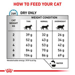 Load image into Gallery viewer, Royal Canin Veterinary Cat - Anallergenic
