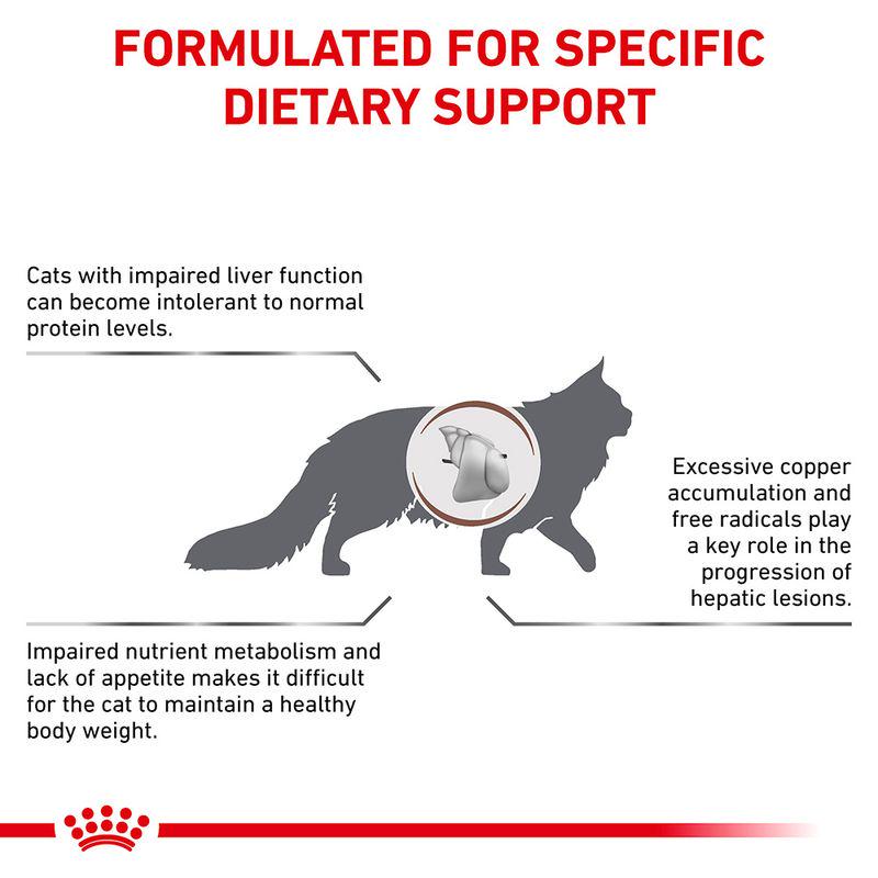 Royal Canin Veterinary Cat - Hepatic