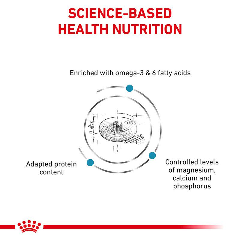 Royal Canin Veterinary Feline Skin and Coat