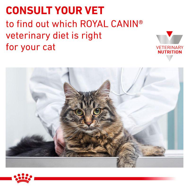 Royal Canin Veterinary Cat - Hepatic