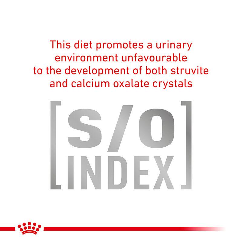 Royal Canin Veterinary Cat - Gastrointestinal