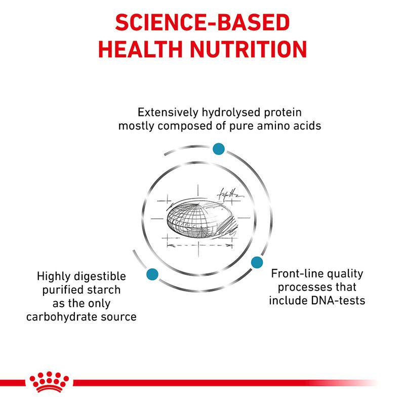 Royal Canin Veterinary Cat - Anallergenic