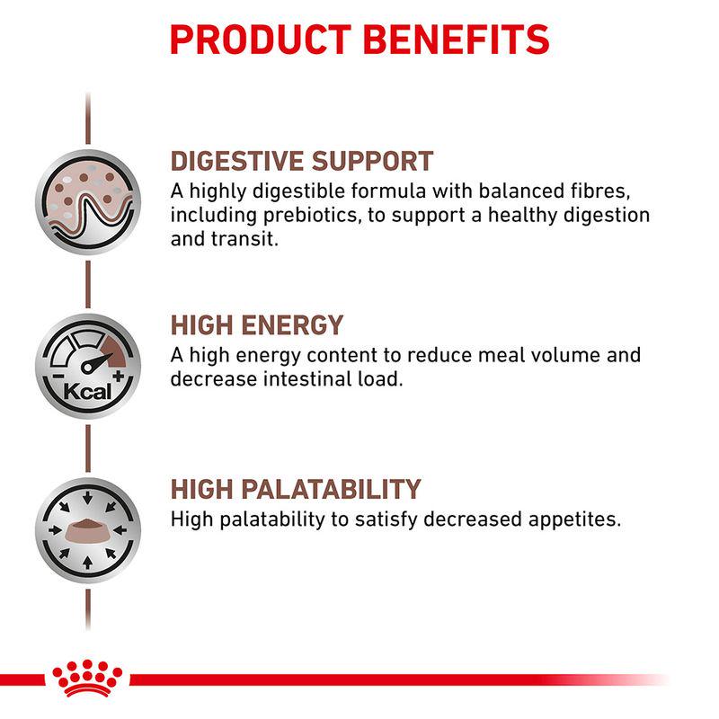Royal Canin Veterinary Cat - Gastrointestinal