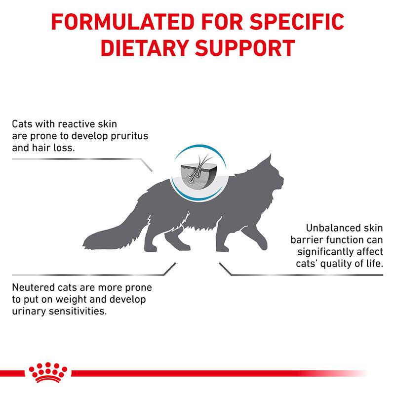 Royal Canin Veterinary Feline Skin and Coat