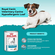 Dog lying next to a can of Royal Canin Veterinary Canine Hypoallergenic Loaf on a blue background