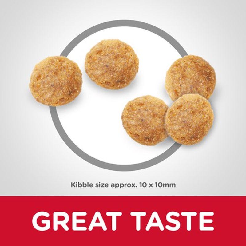 Chicken food for seniors