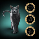 Load image into Gallery viewer, Sheba Classics Terrine Trays
