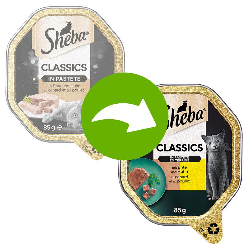 Sheba Classics Terrine Trays