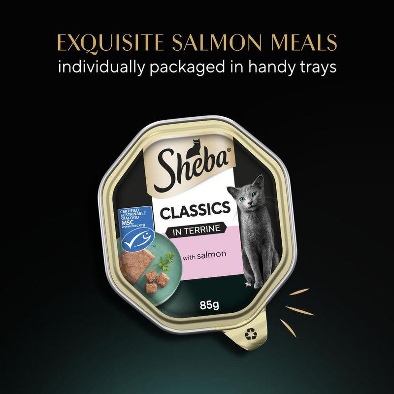 Sheba Classics Terrine Trays