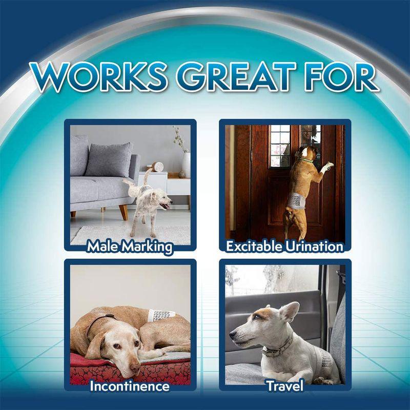 Simple Solution Disposable Diaper for Male Dogs