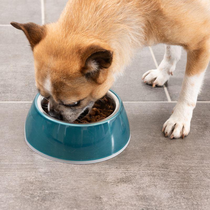 TIAKI Anti-Slip Bowl - Transparent Blue
