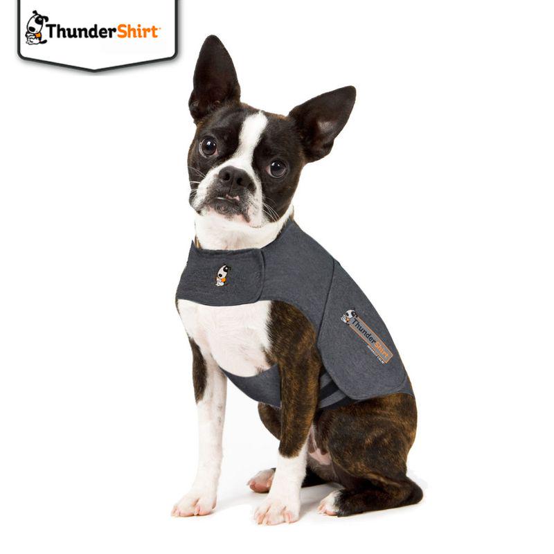 ThunderShirt Dog Anxiety Vest - Grey