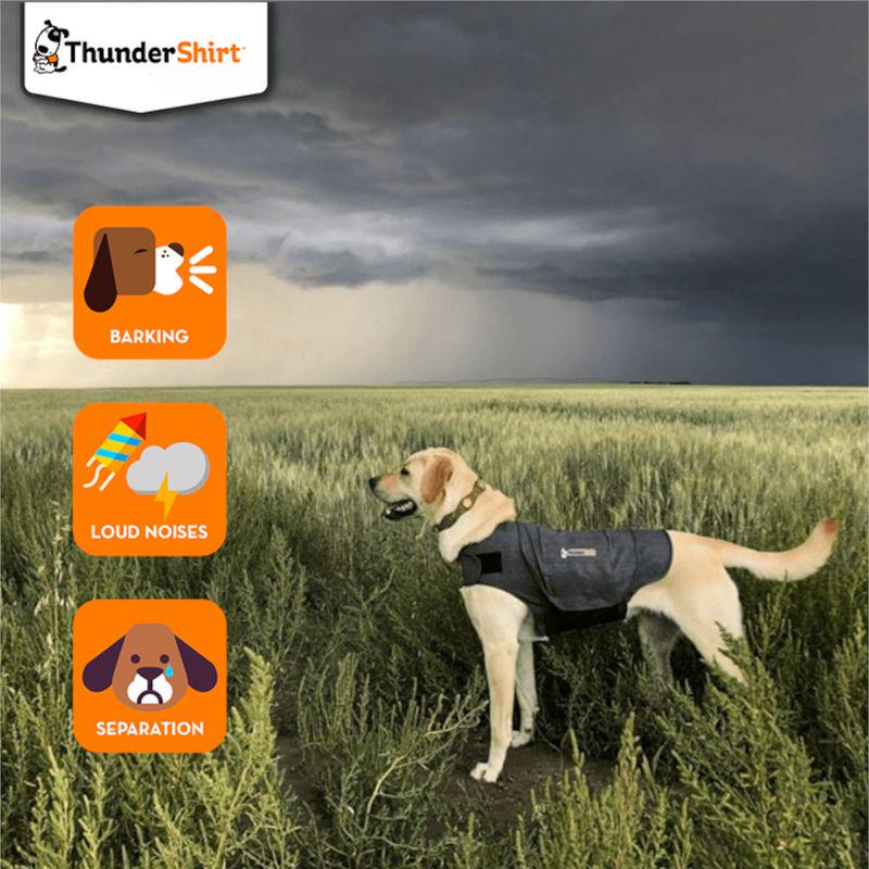 ThunderShirt Dog Anxiety Vest - Grey