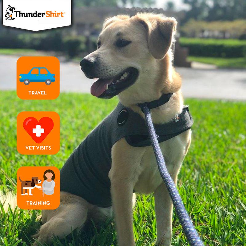 ThunderShirt Dog Anxiety Vest - Grey
