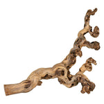 Load image into Gallery viewer, Trixie Sand-Blasted Branch
