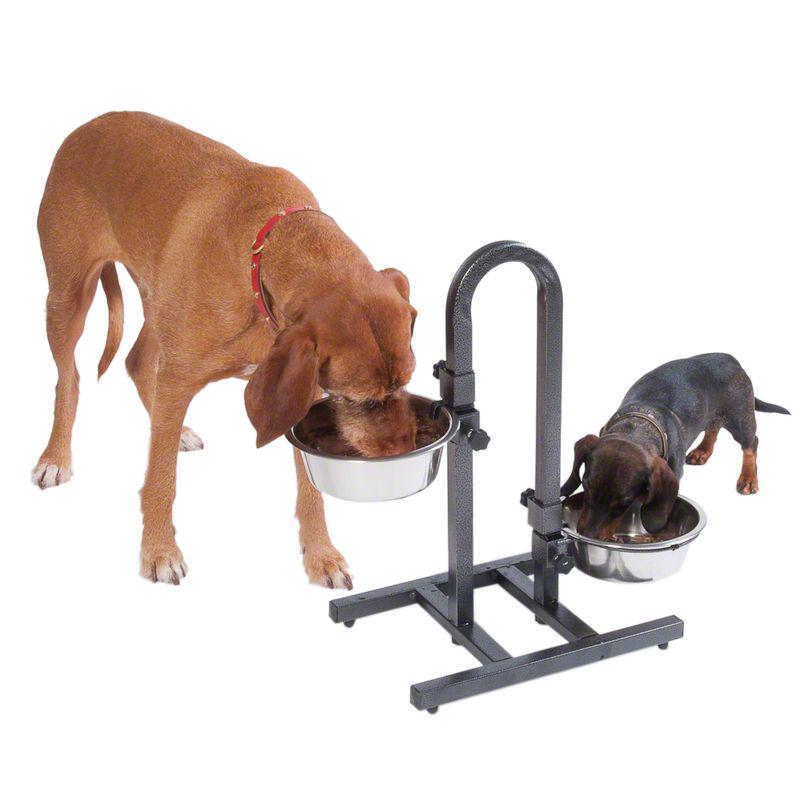 U-Shaped Dog Bowl Stand with Stainless Steel Bowls