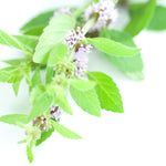 Load image into Gallery viewer, Vet s Best® Clean Teeth Cleaning Pads
