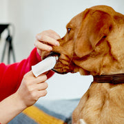 Vet s Best® Clean Teeth Cleaning Pads