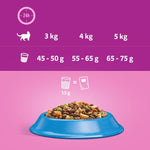 Load image into Gallery viewer, Whiskas 1+ Tuna
