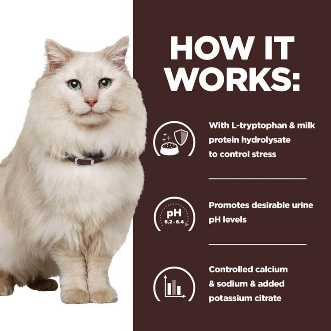 White cat with text on a brown background about product benefits