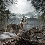 Load image into Gallery viewer, Wolf of Wilderness Dog Food Bag
