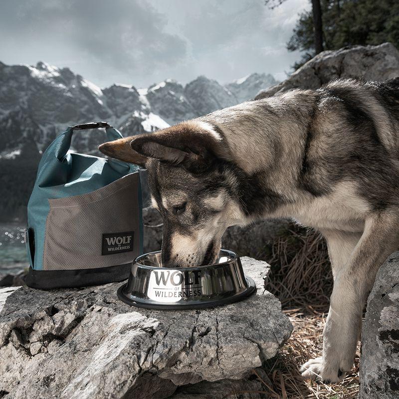 Wolf of Wilderness Dog Food Bag