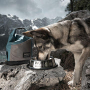 Wolf of Wilderness Dog Food Bag