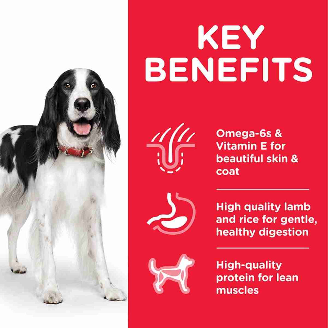 Adult dog lamb formula