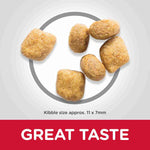 Load image into Gallery viewer, Hill&#39;s cat food for dental health
