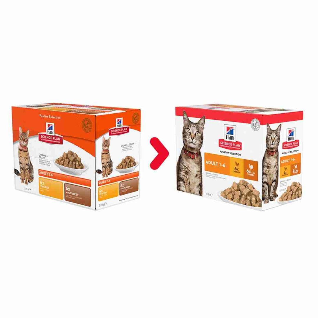 Science Plan cat pouches