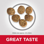 Load image into Gallery viewer, Cat food for healthy weight
