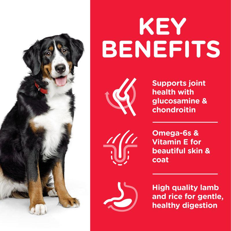 Lamb dry dog food