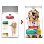 Load image into Gallery viewer, Balanced large breed diet
