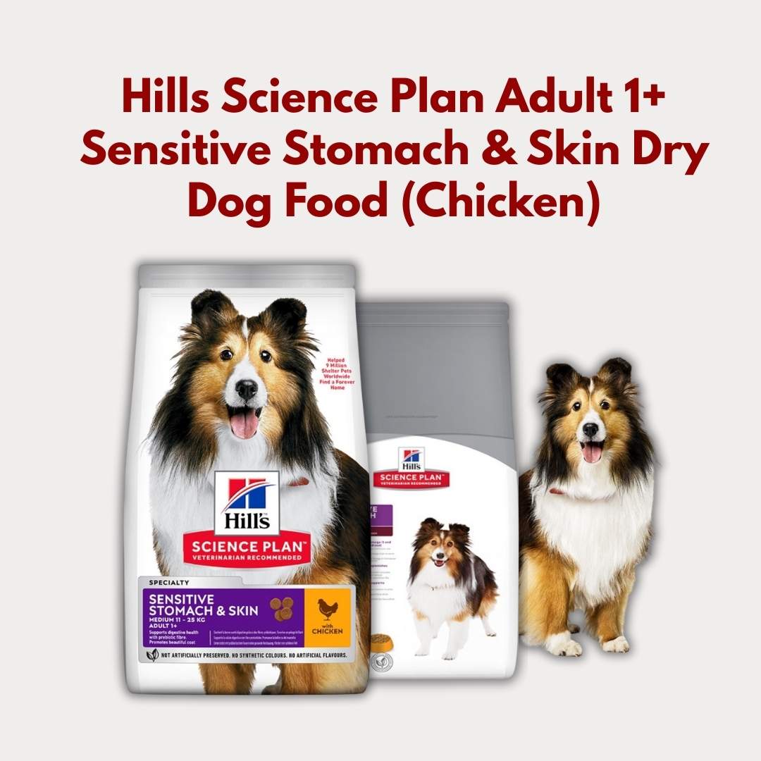 Hills Science Plan Adult 1+ Sensitive Stomach & Skin Dry Dog Food packaging with a dog on a white background