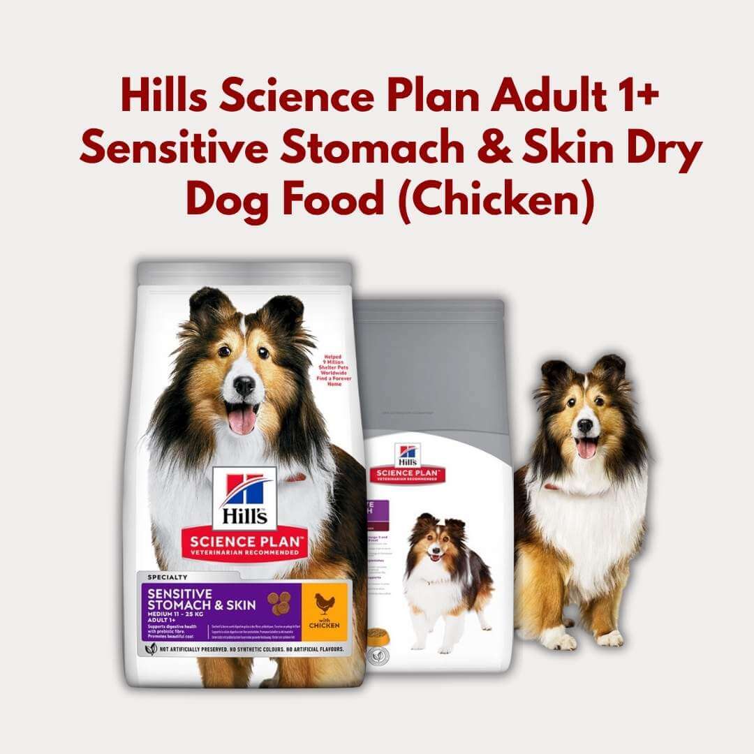 Hills Science Plan Adult 1+ Sensitive Stomach & Skin Dry Dog Food packaging with a Shetland Sheepdog on a white background.