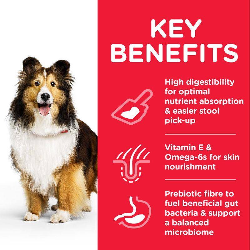 Skin support dry food