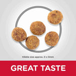 Load image into Gallery viewer, Balanced food small breed

