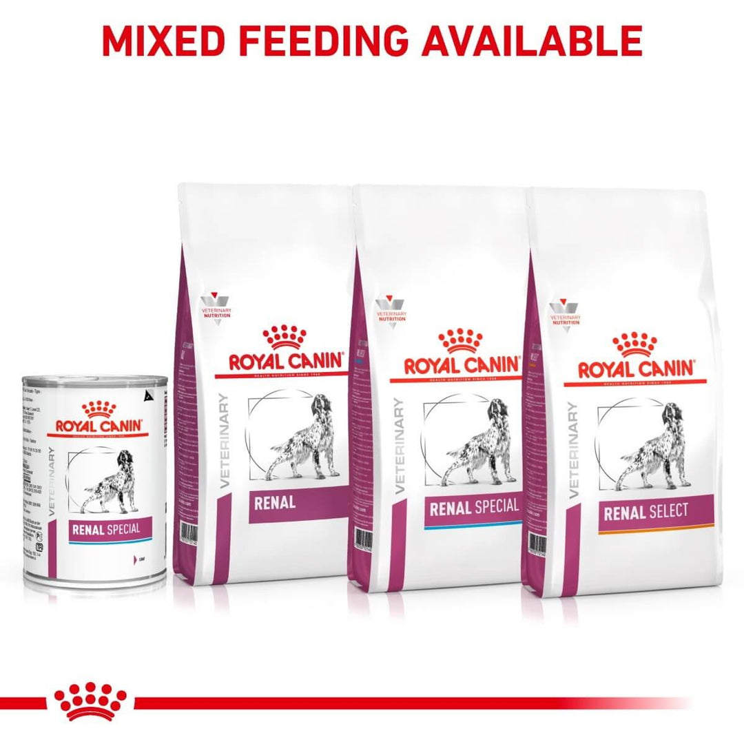 Royal Canin Veterinary Diet Renal Special food and can packaging on a white background