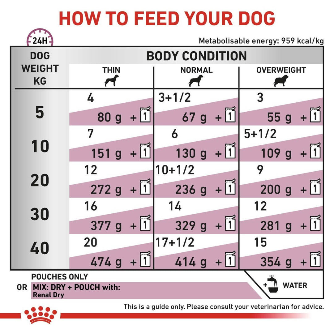 Feeding chart for dogs showing recommended food amounts based on weight and body condition.