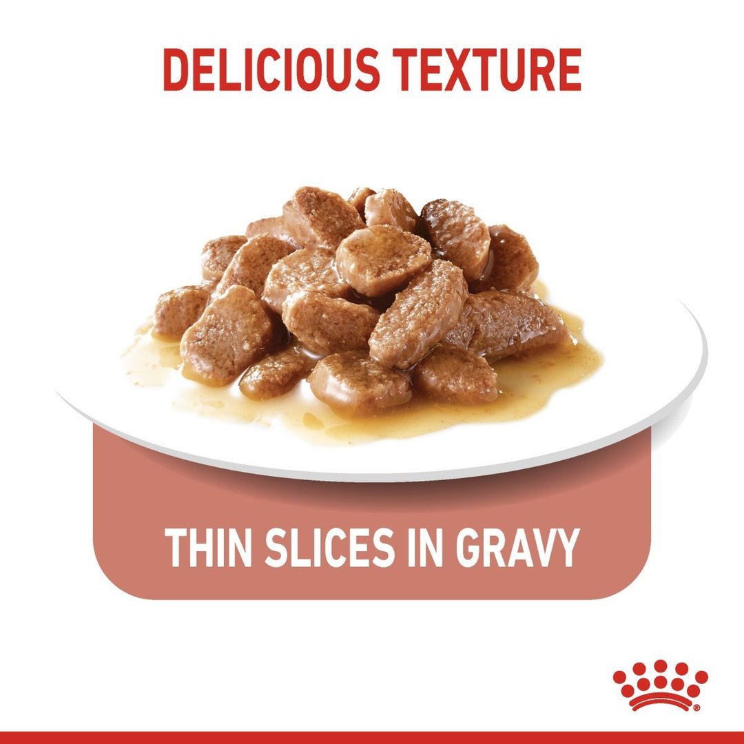 Cat food with thin slices in gravy on a white plate, labeled 'Delicious Texture' and 'Thin Slices in Gravy'.