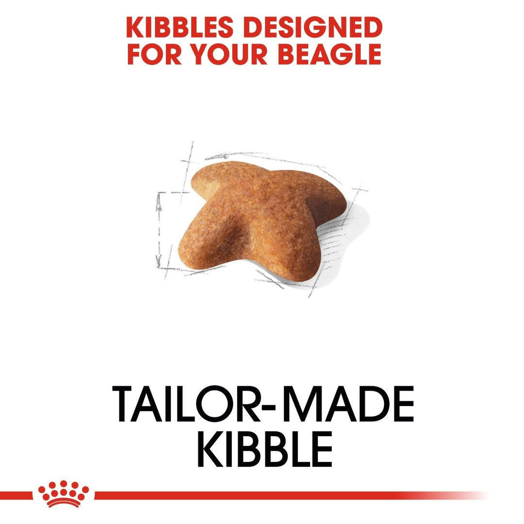 Dog kibble shaped like a beagle with text 'Kibbles Designed for Your Beagle' and 'Tailor-Made Kibble' on a white background.