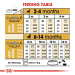 Load image into Gallery viewer, Feeding table chart for dogs with weight and measurement conversions.
