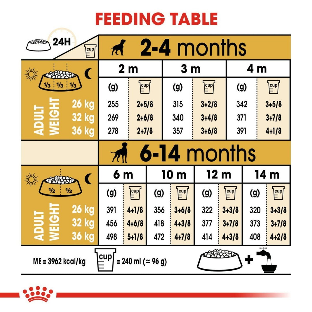 Feeding table chart for dogs with weight and measurement conversions.