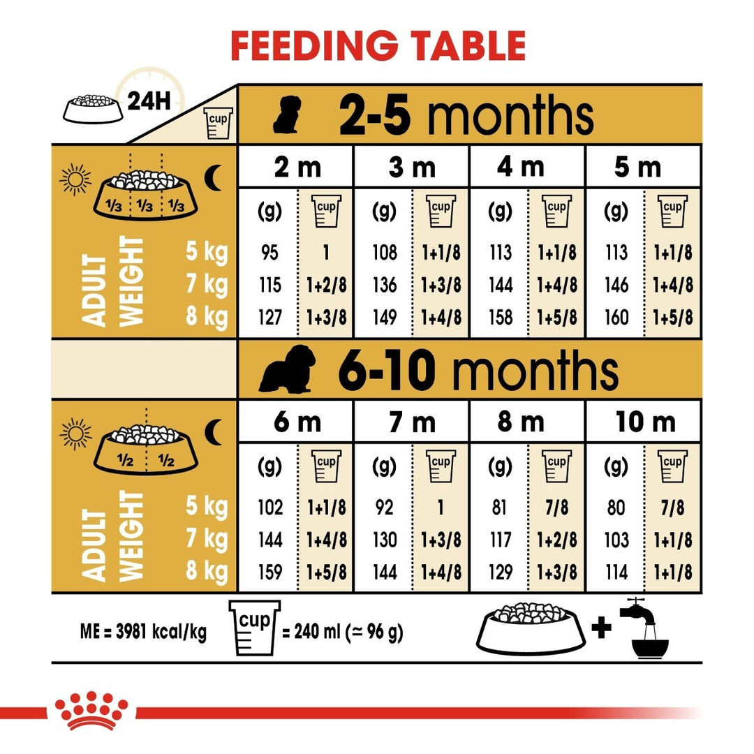 Feeding table chart for puppies from 2 to 10 months with measurements and adult weight.