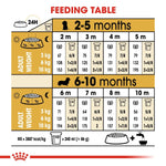 Load image into Gallery viewer, Feeding chart for puppies from 2 to 10 months with measurements and weights.
