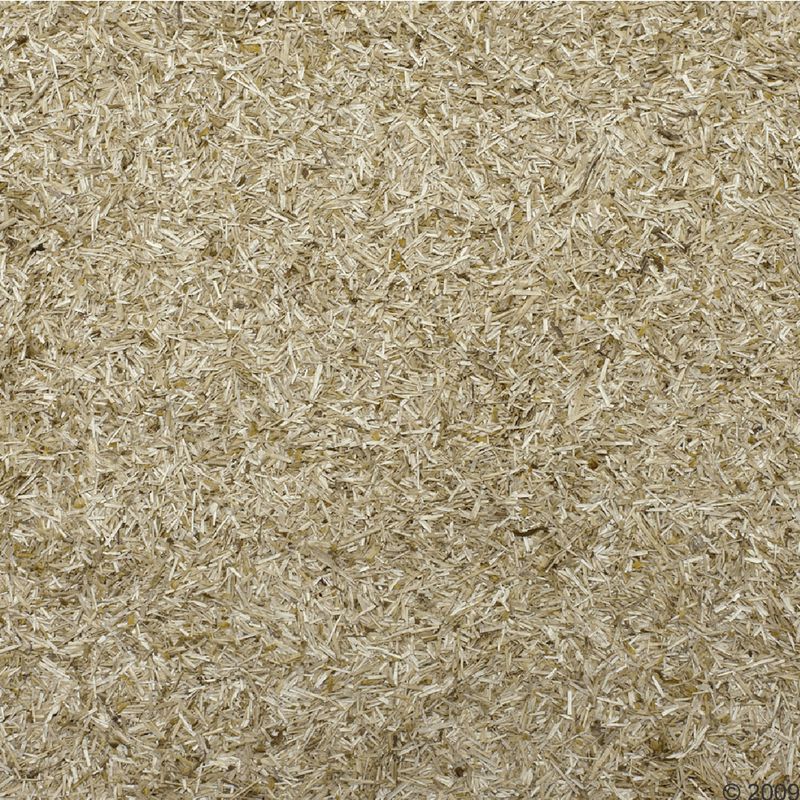 Close-up of a textured beige surface
