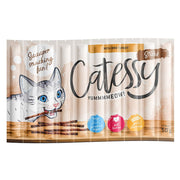 Catessy treats packaging with a cartoon cat and text on a white background