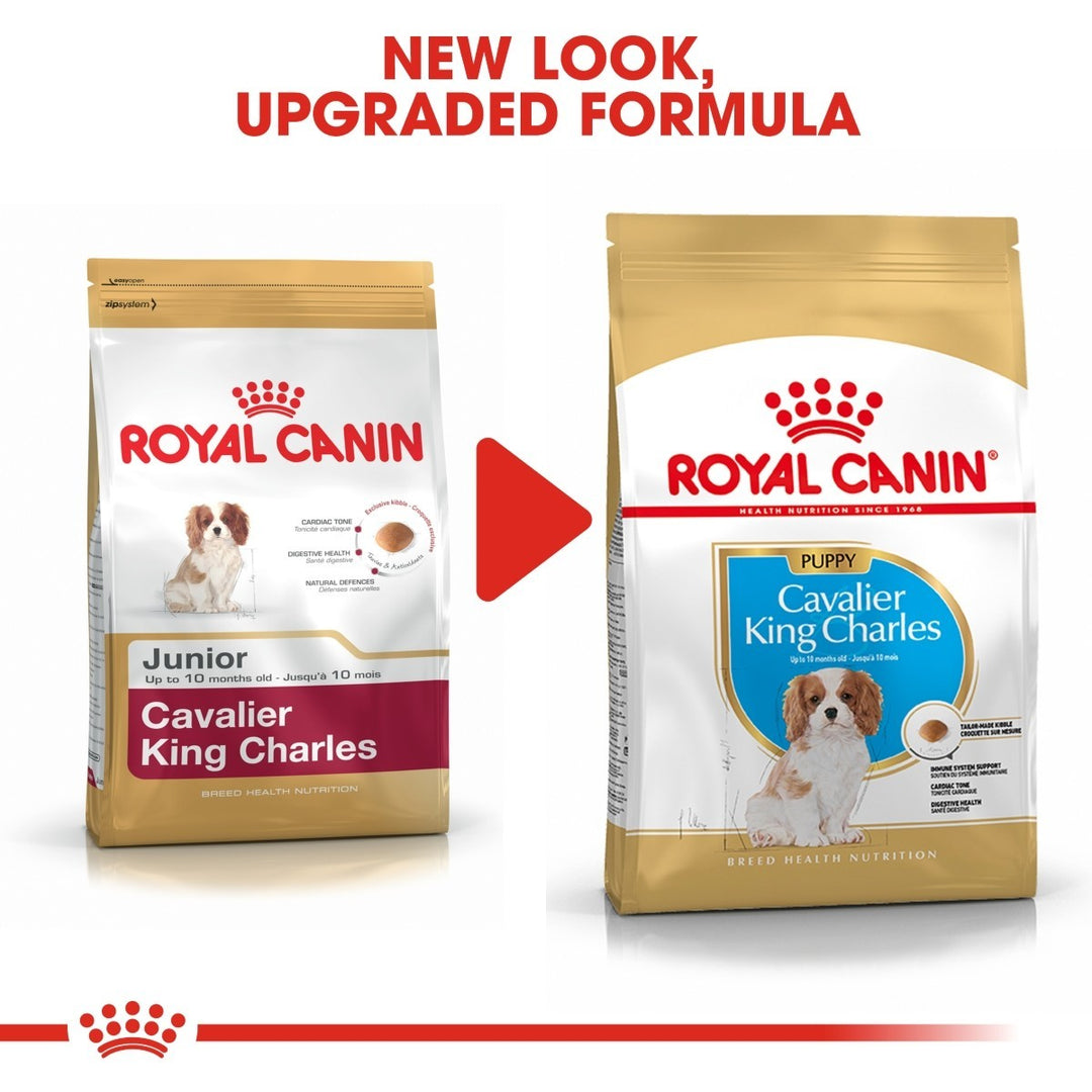 Two packages of Royal Canin Cavalier King Charles dog food with a red arrow and text indicating a new look and upgraded formula.