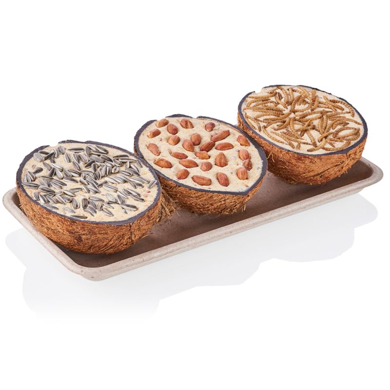 coconut bird feeders