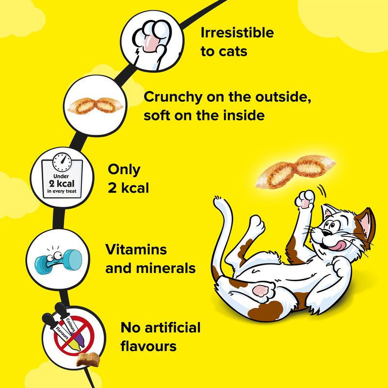 Cat food product description with cartoon cat on a yellow background